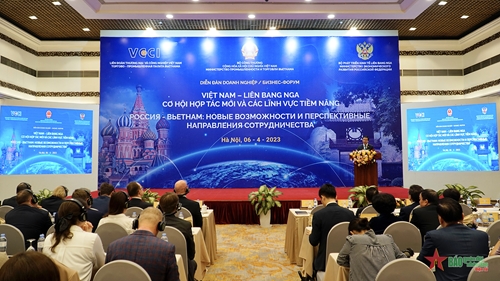 Mở rộng hợp tác các lĩnh vực tiềm năng giữa doanh nghiệp Việt Nam và Nga